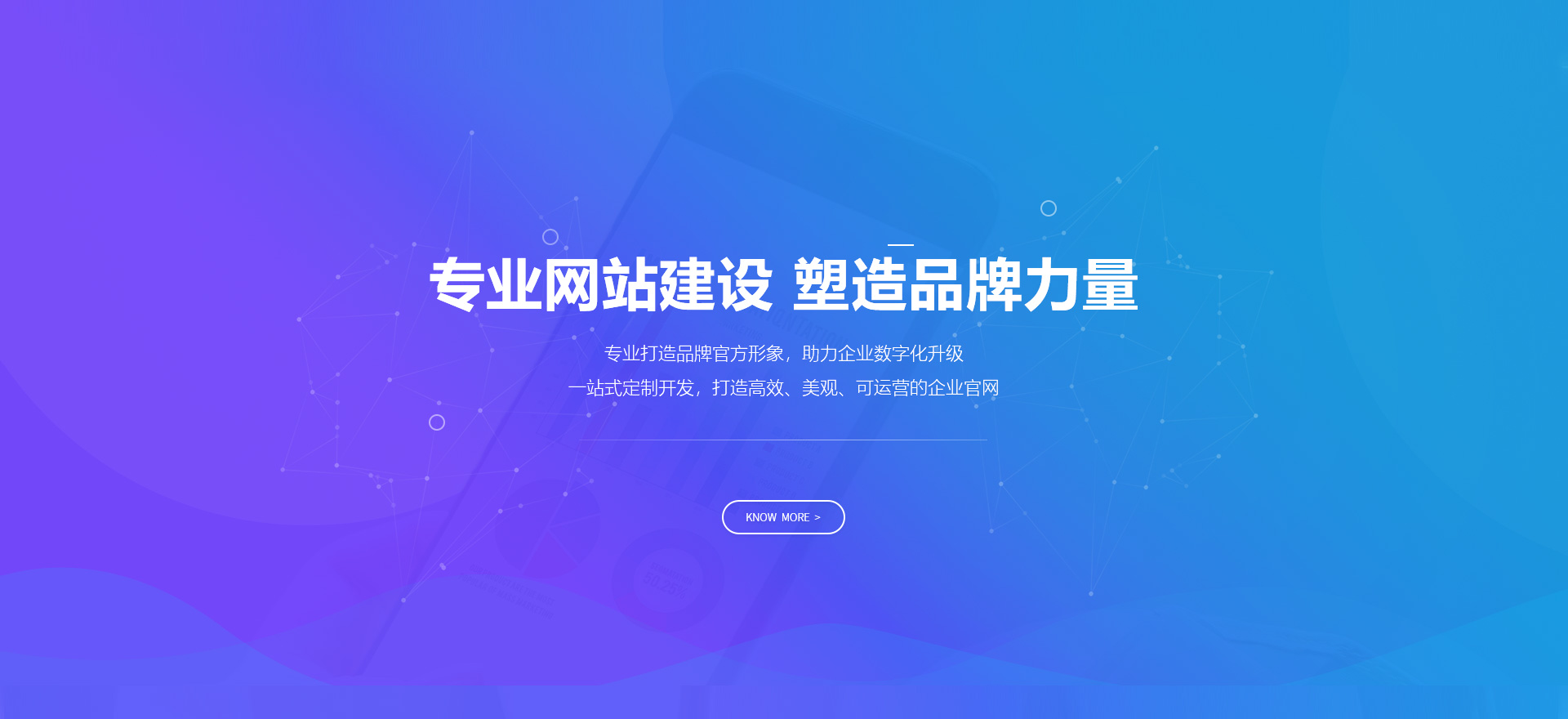 右玉建站-专业网站建设 塑造品牌力量
