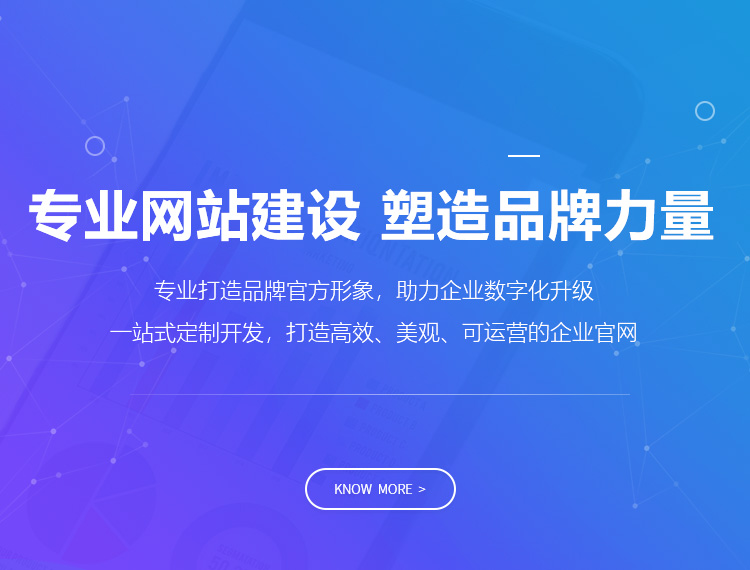 右玉建站-专业网站建设 塑造品牌力量